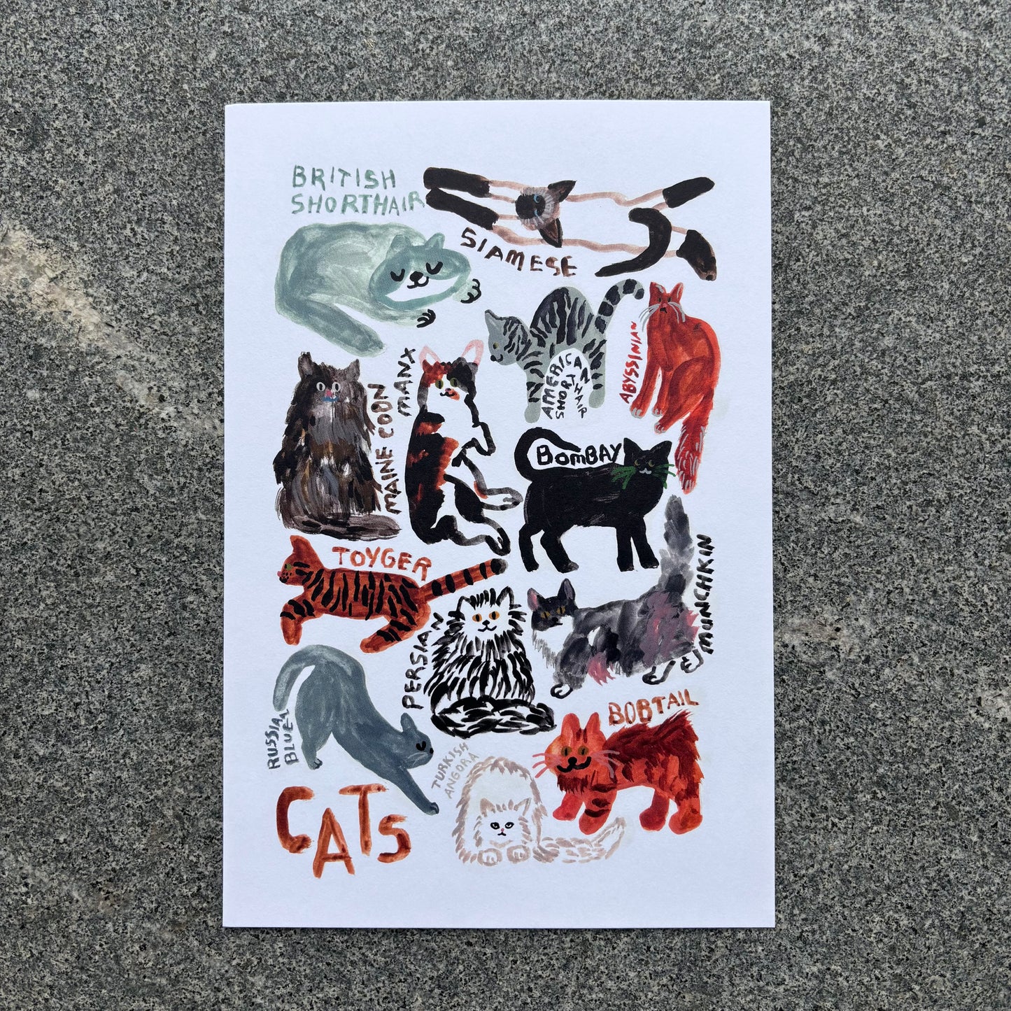 mini Poster : Cats