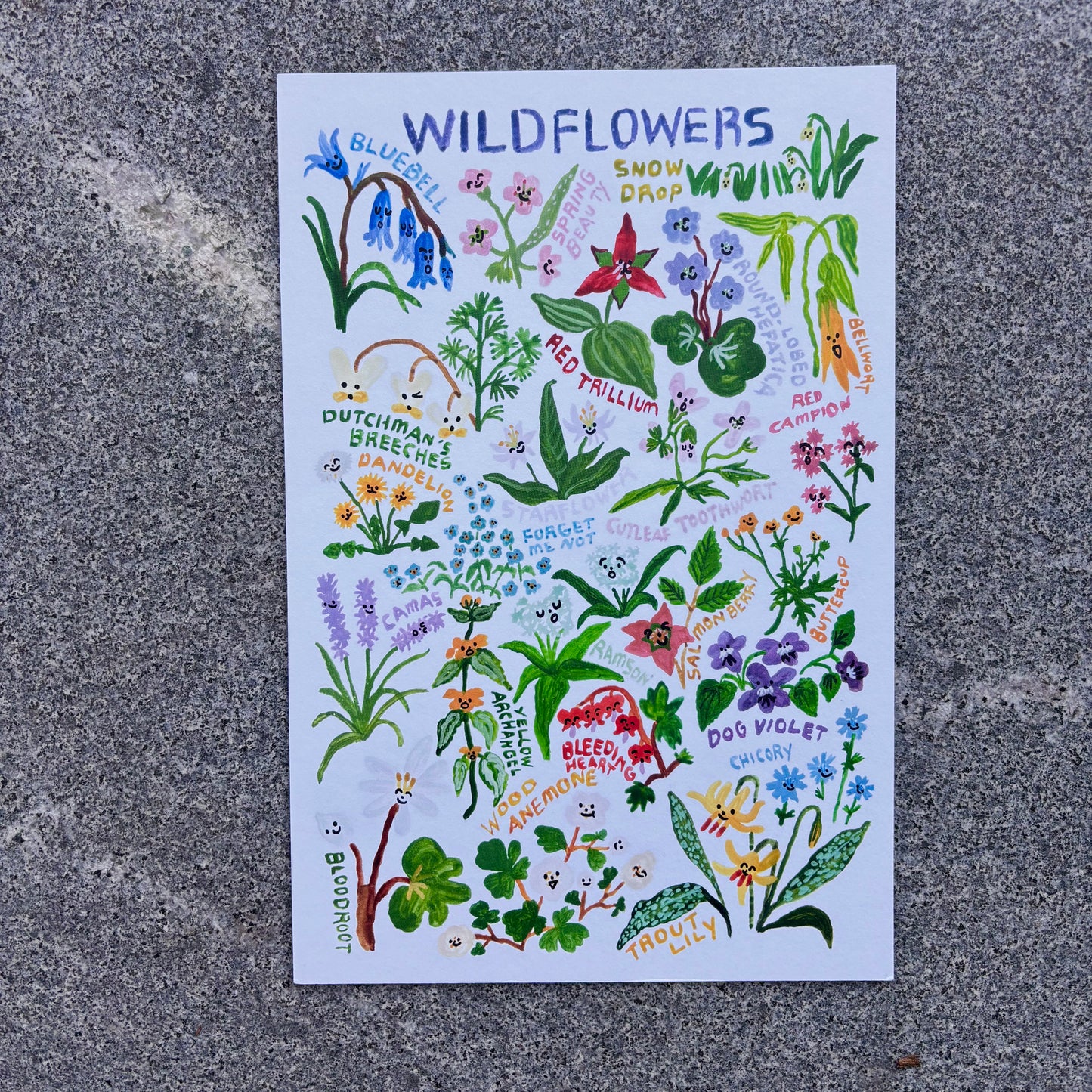 mini Poster : Wildflowers