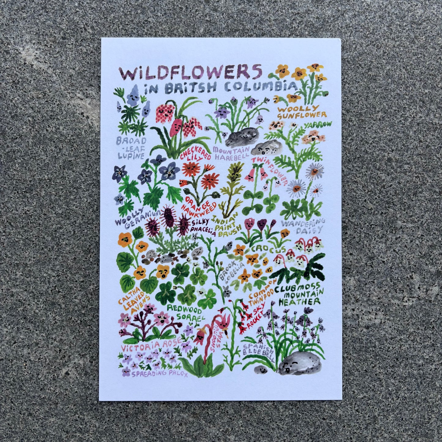 mini Poster : BC wildflower