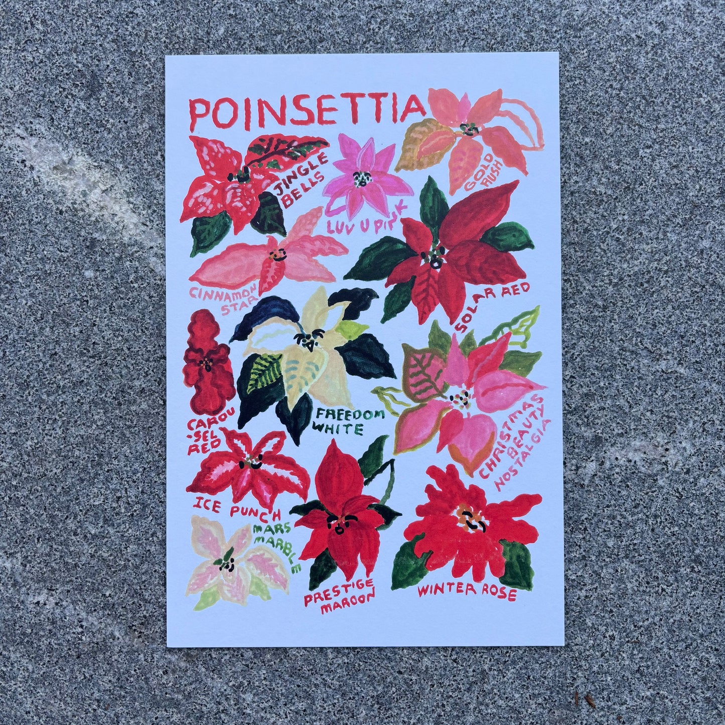 mini Poster : Poinsettia