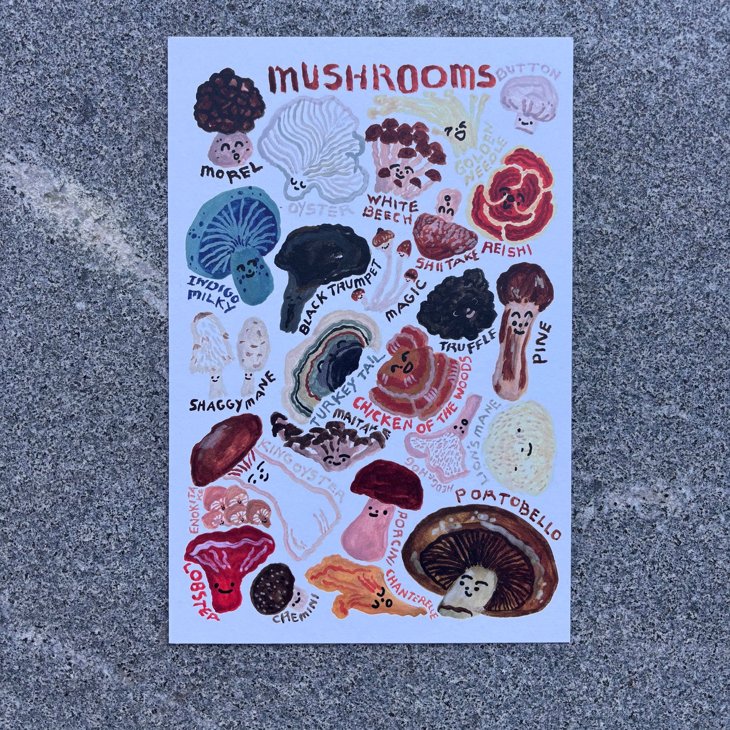 mini Poster : Mushrooms