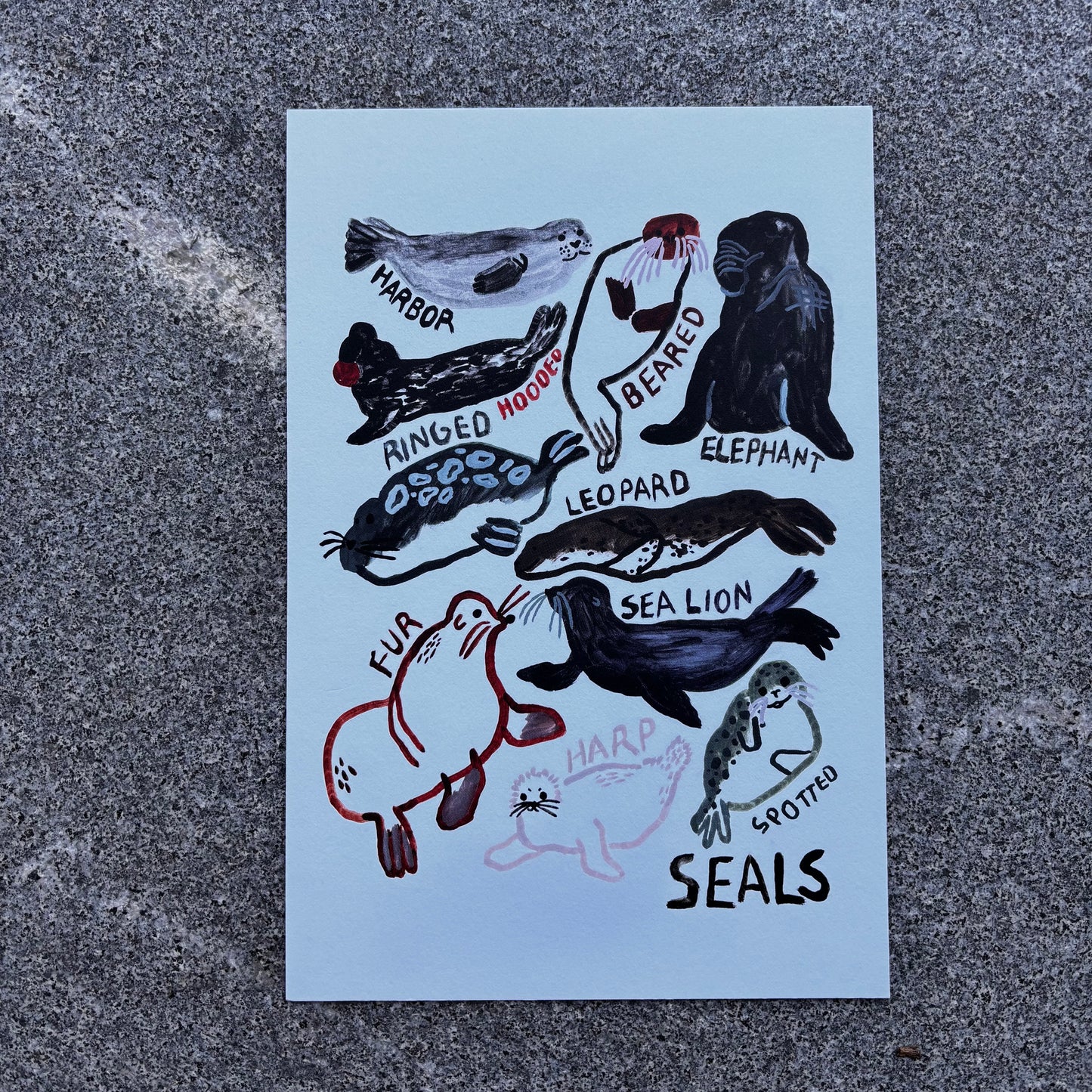 mini Poster : Seals