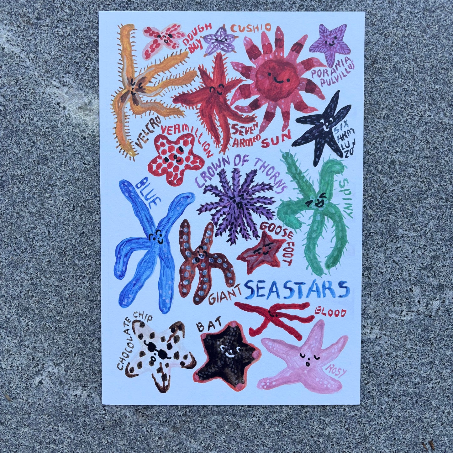 mini Poster : Sea star