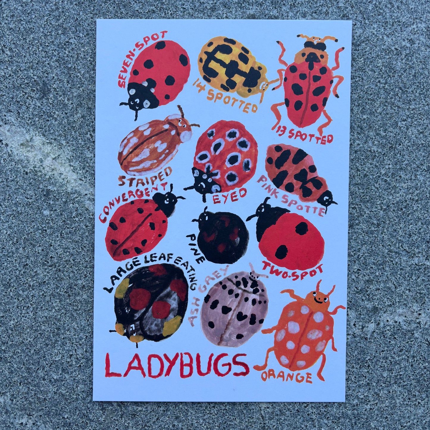 mini Poster : Ladybugs