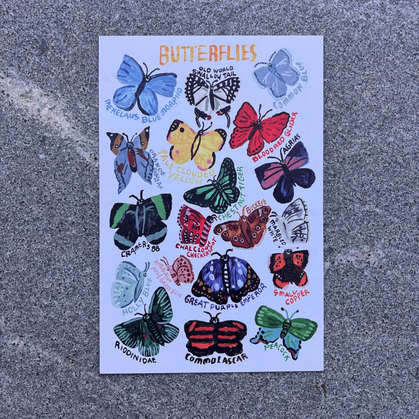 mini Poster : Butterflies