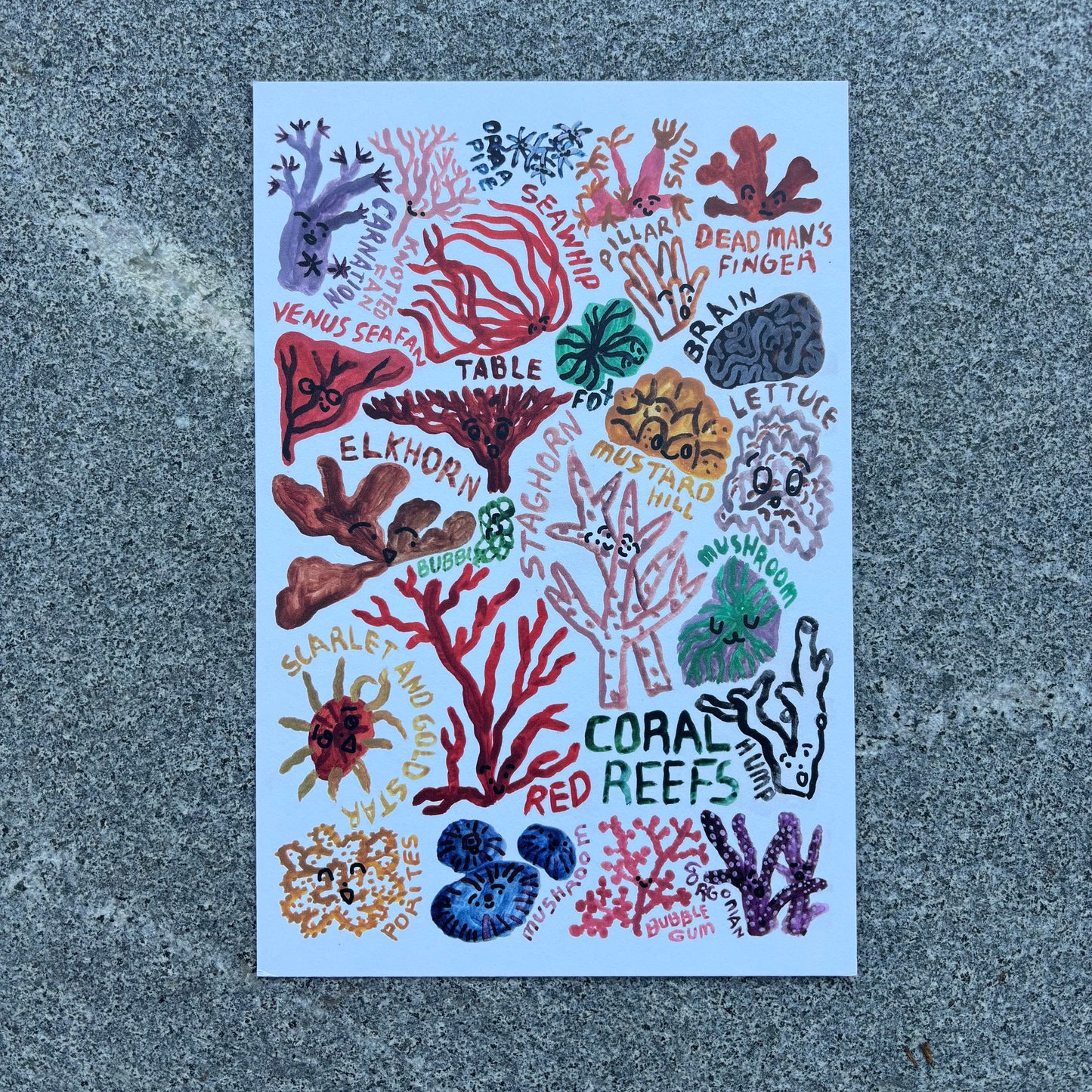 mini Poster : Coral reef