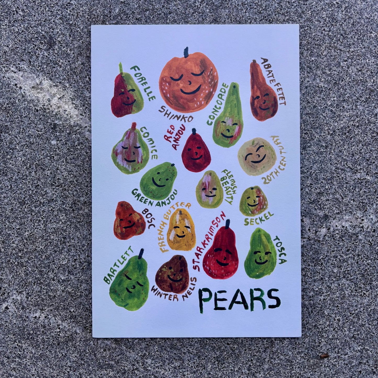 mini Poster : Pears