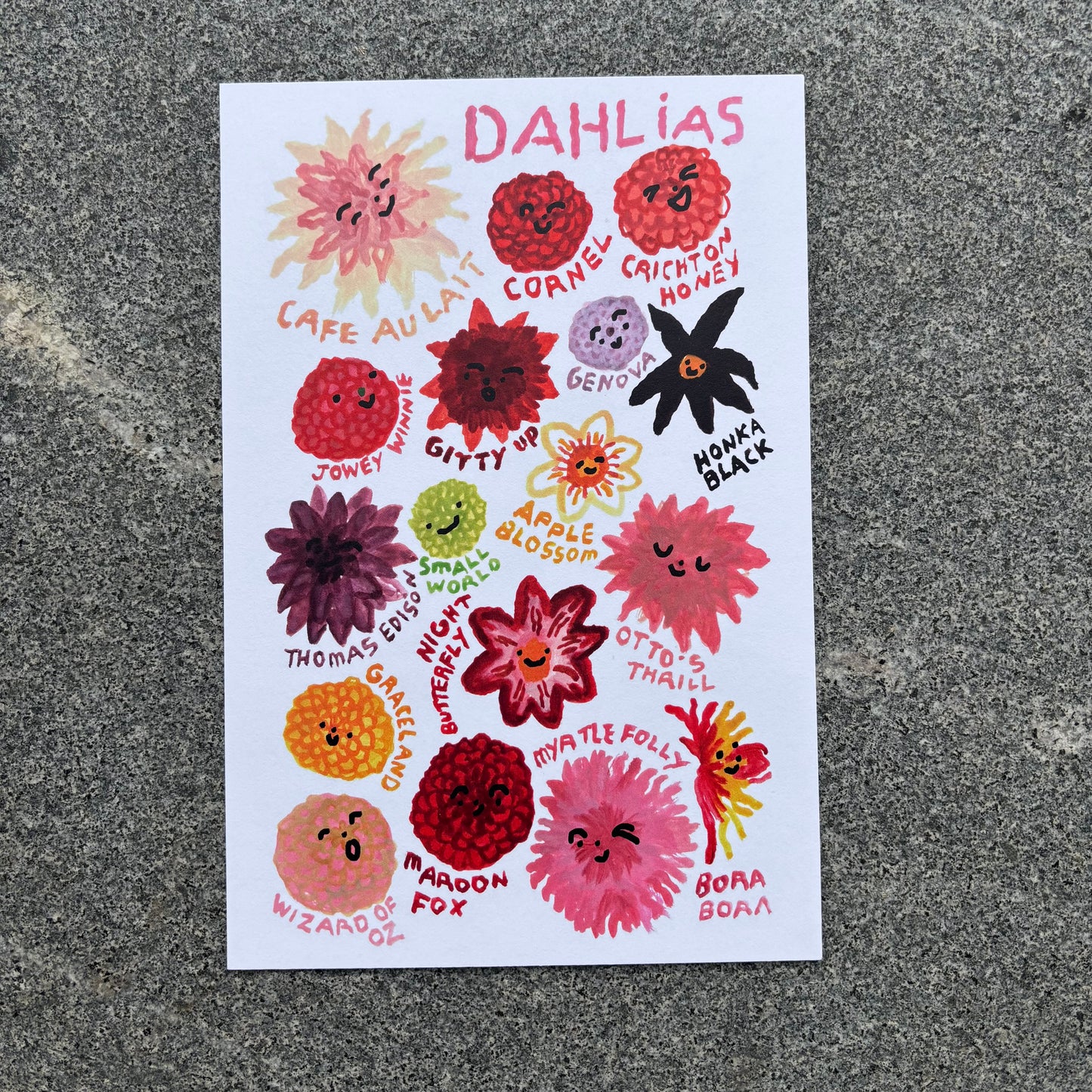 mini Poster : Dahlias