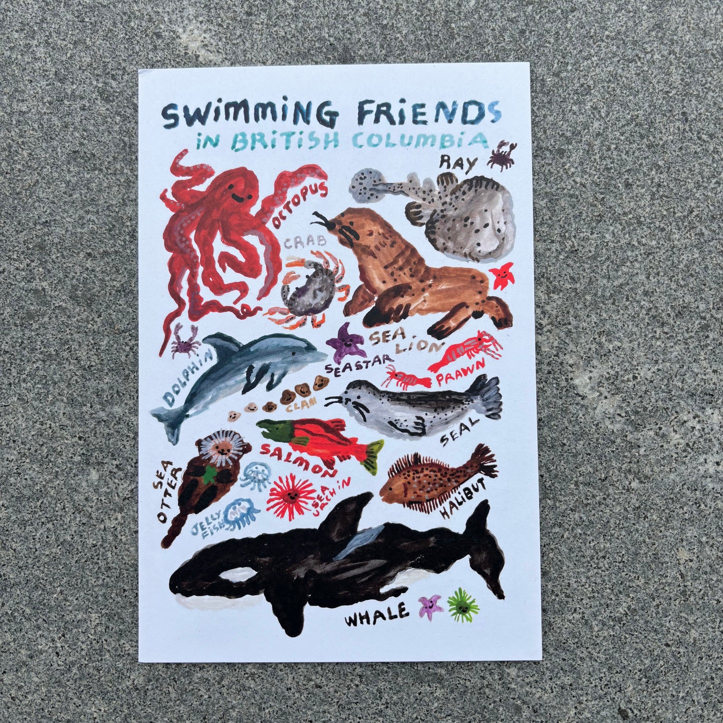 mini Poster : Swimming friends in BC