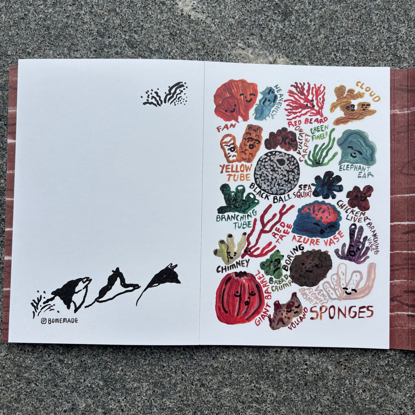 24 postcards Book - Sea Collection