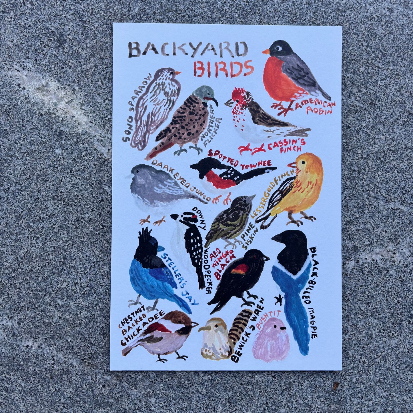 mini Poster : Backyard birds