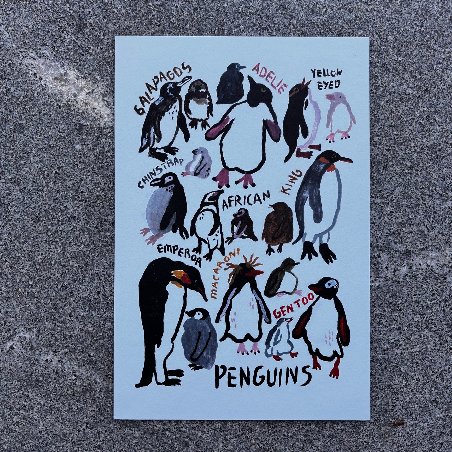 mini Poster : Penguins