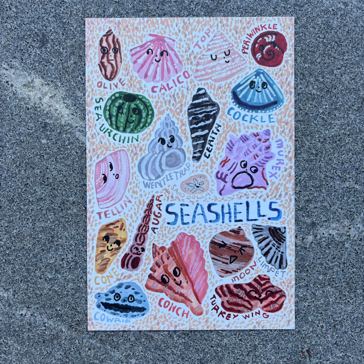 mini Poster : Seashells