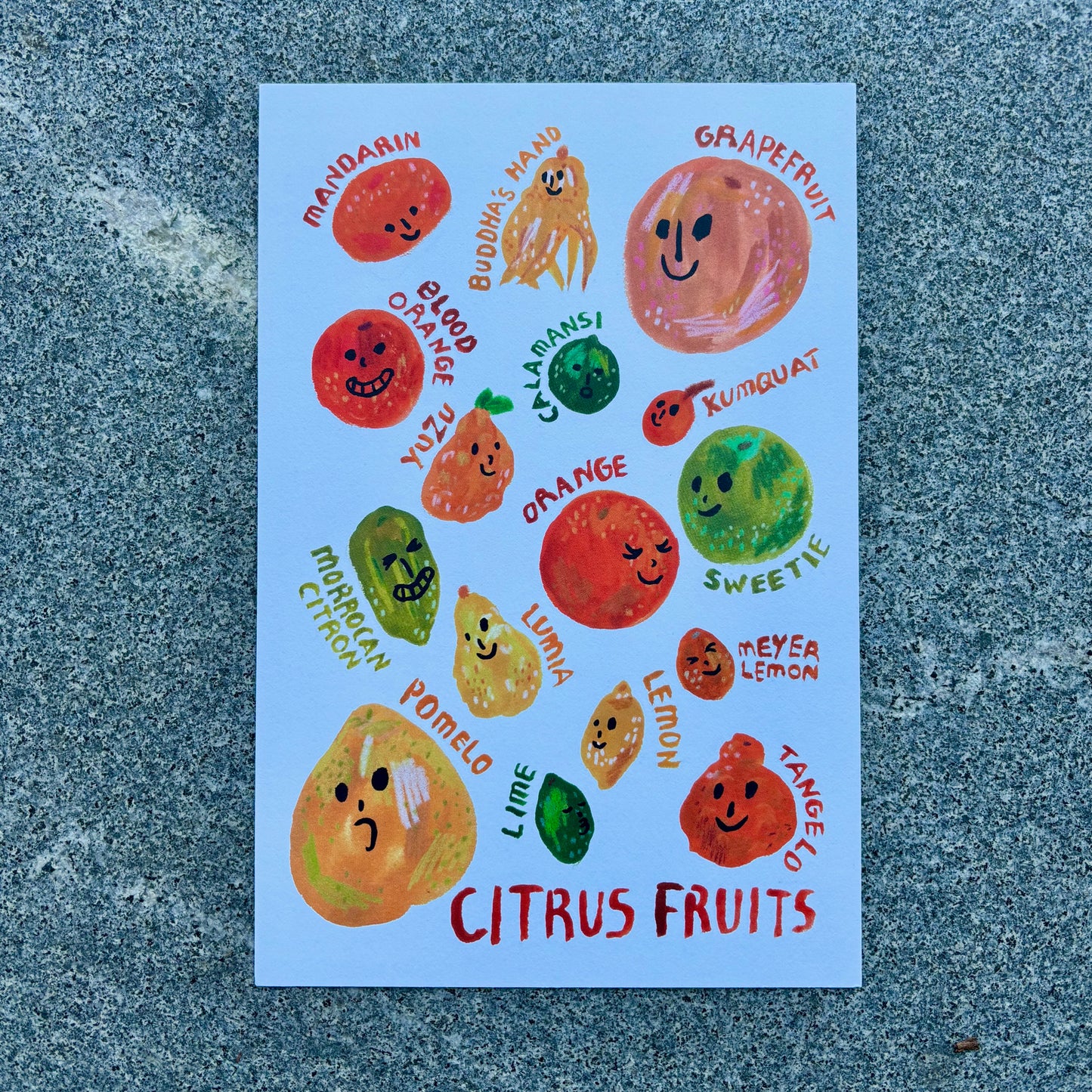 mini Poster : Citrus fruits