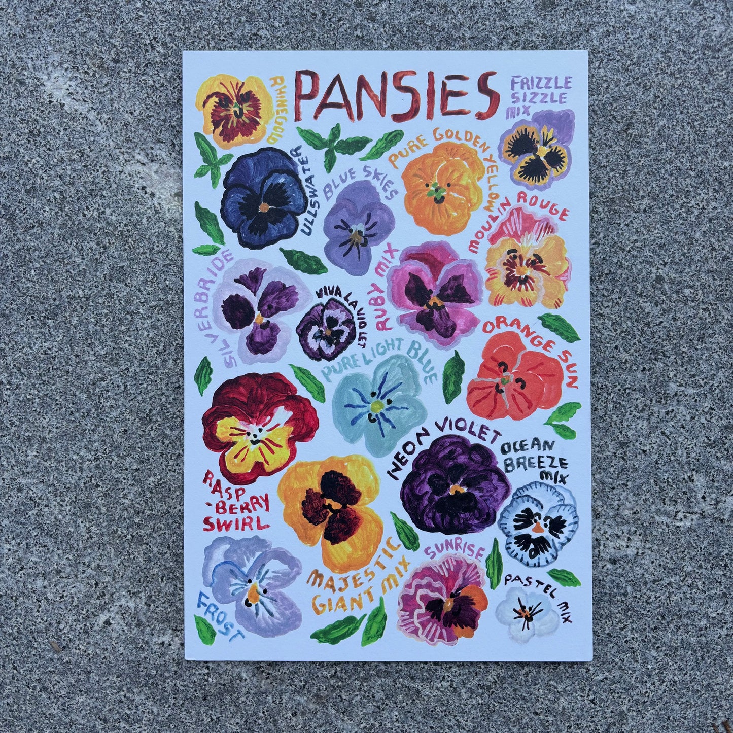 mini Poster : Pansies