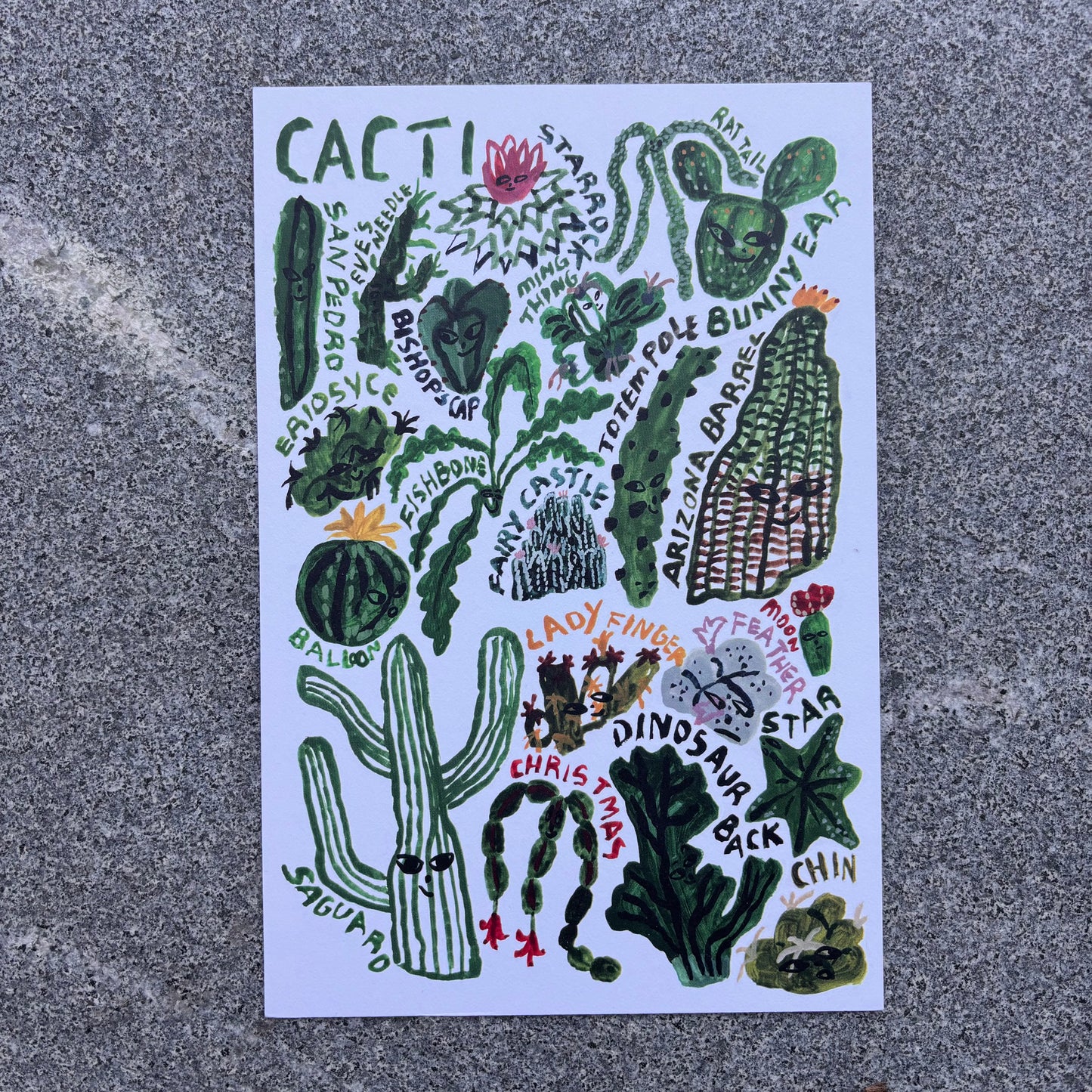 mini Poster : Cacti