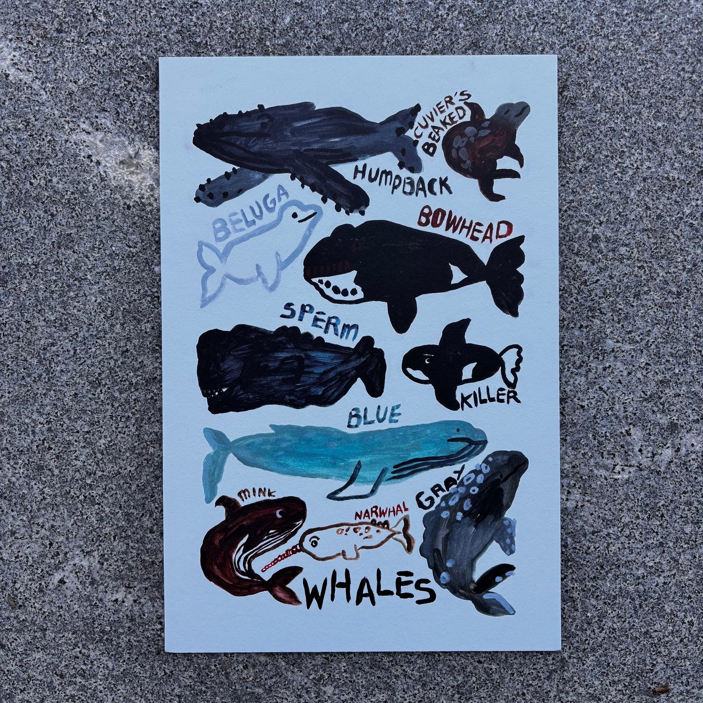 mini Poster : Whales