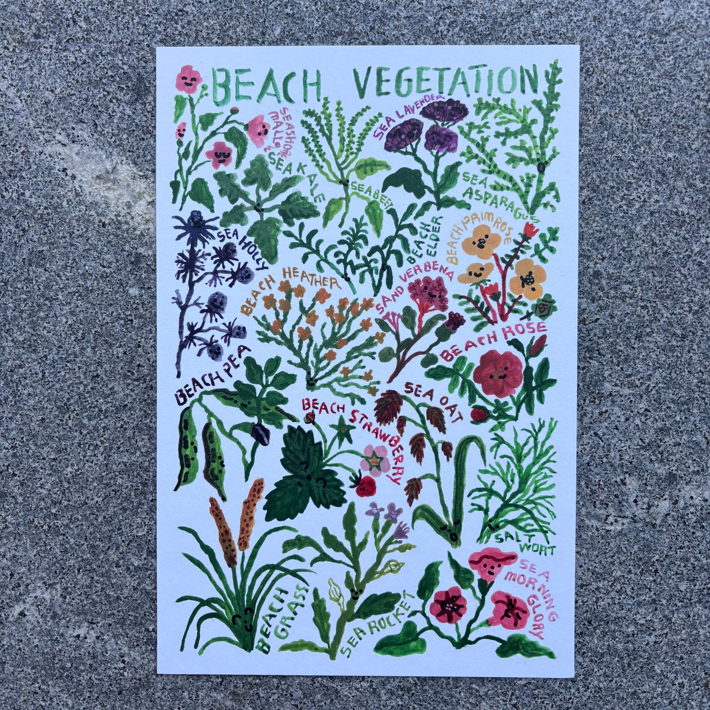 mini Poster : Beach vegetations