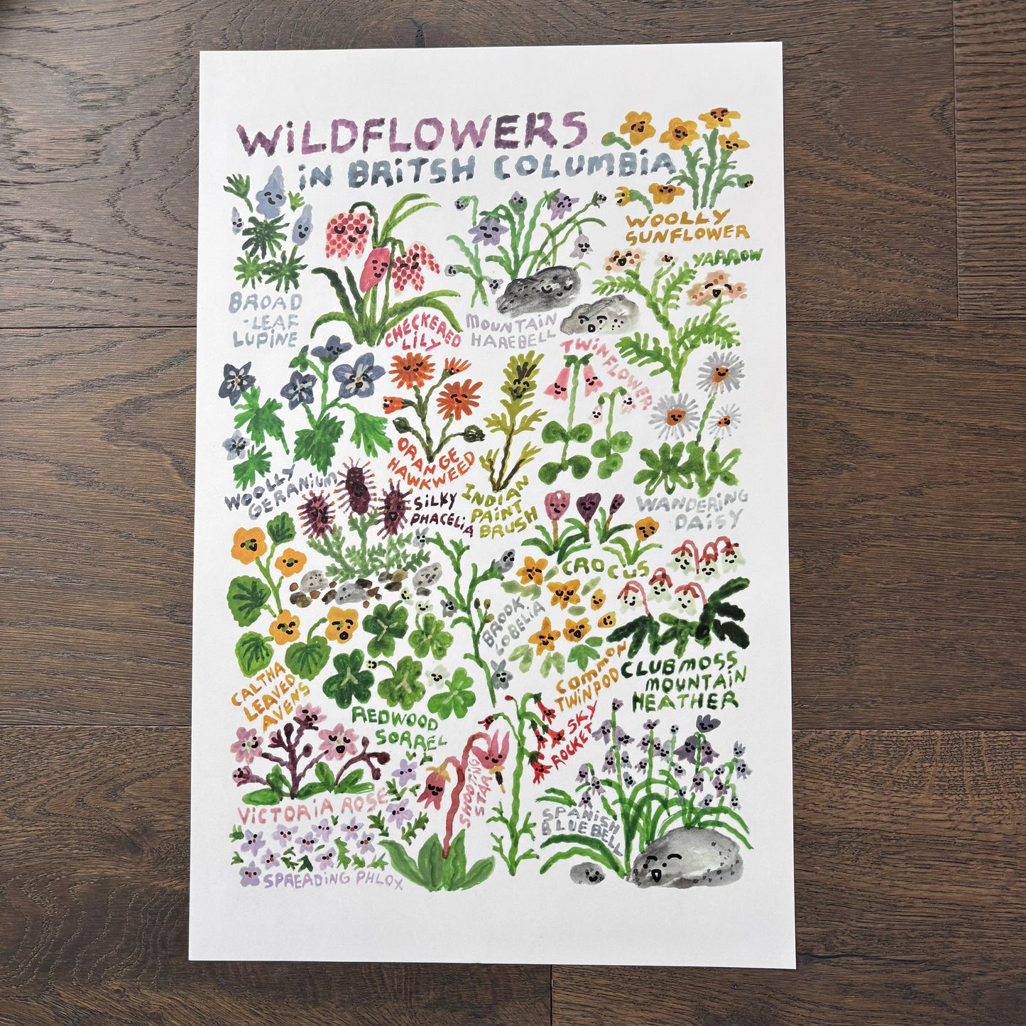 Big Poster : Wildflower BC