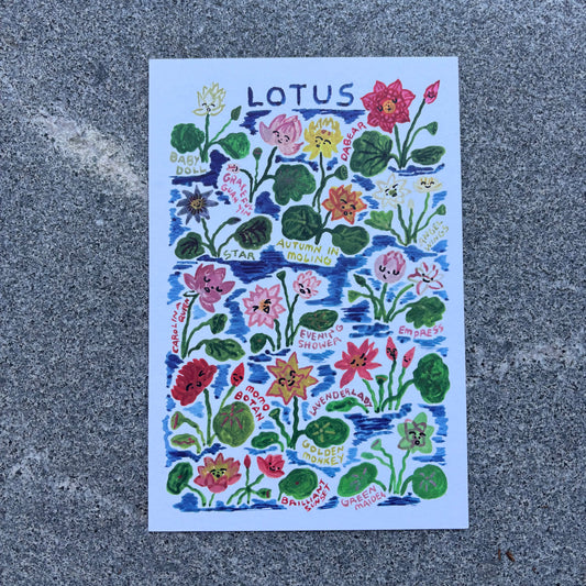 mini Poster : Lotus