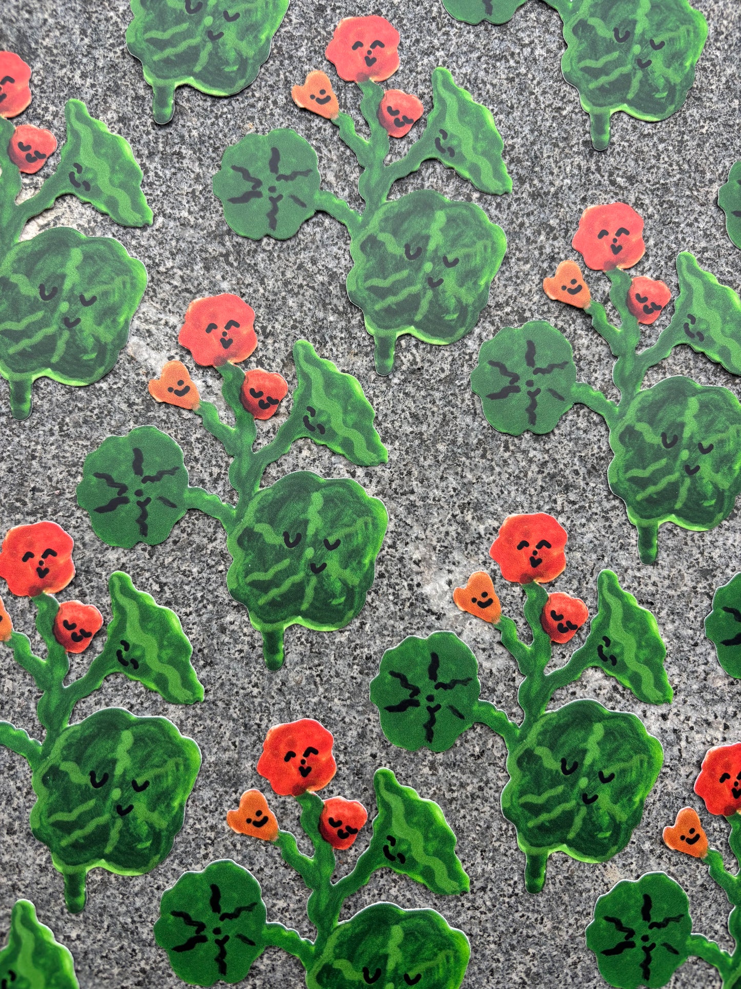 Flower Sticker :Nasturtium