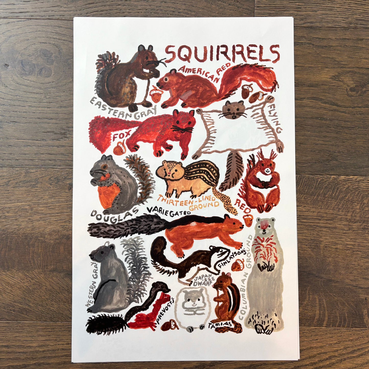 Big Poster : Squirrels