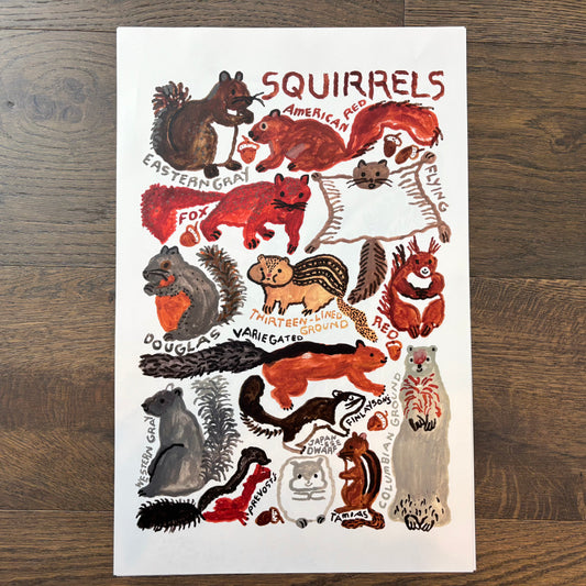 Big Poster : Squirrels