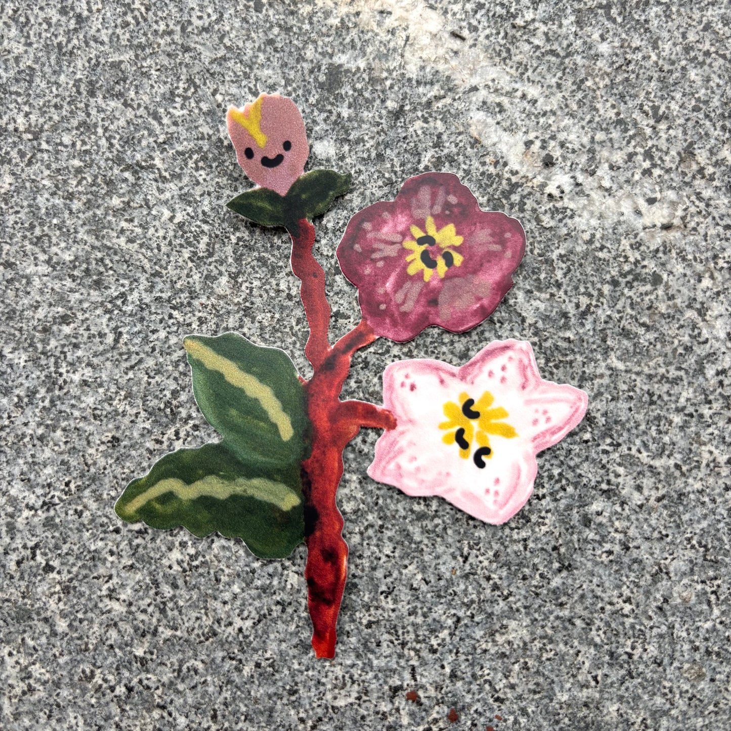 Flower Sticker : Hellabore