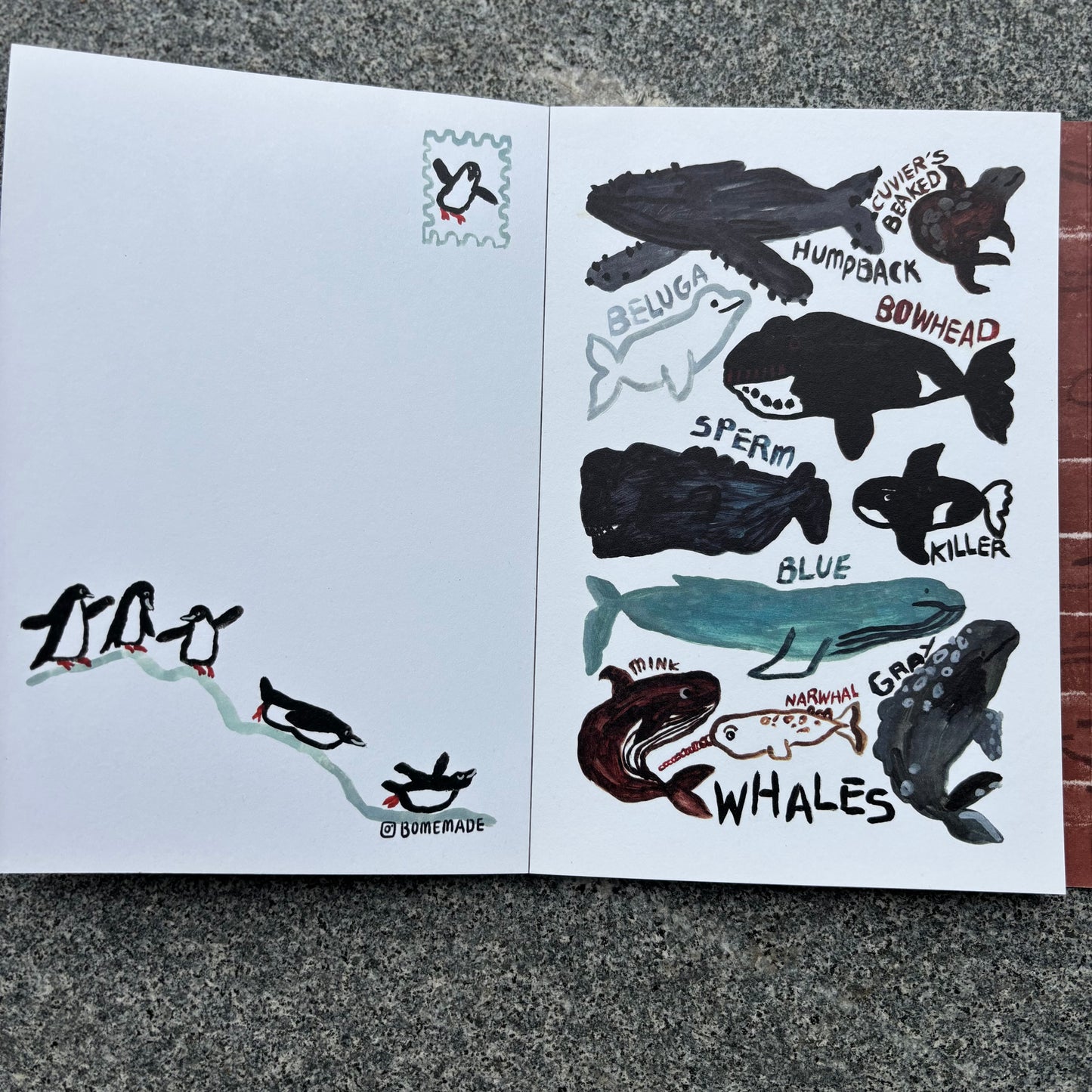 24 postcards Book - Everyday Collection