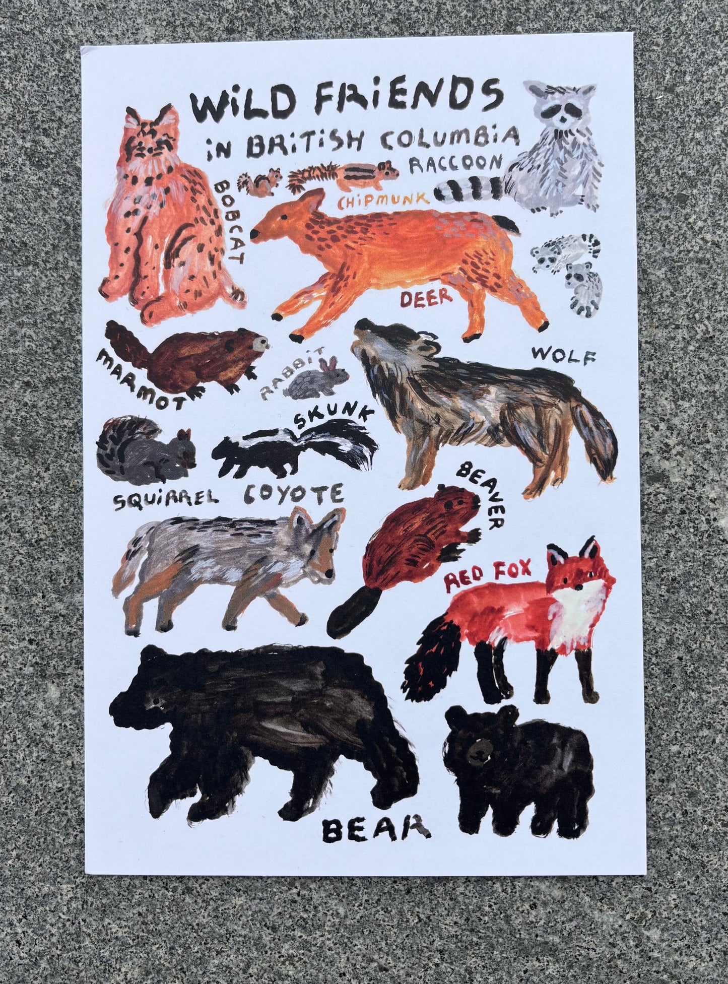 mini Poster : Wild friends in BC