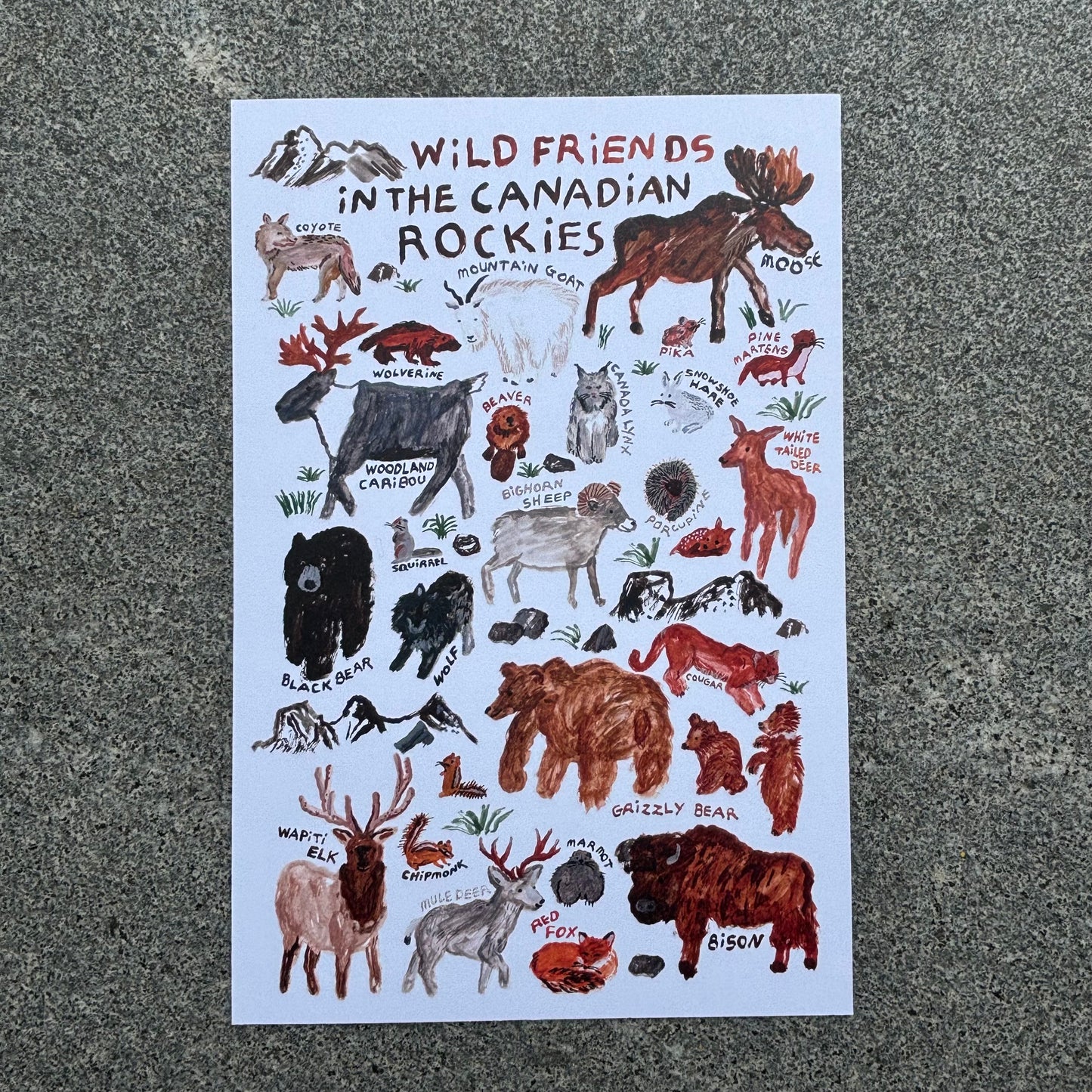 mini Poster : Wild friends in the Canadian Rockies