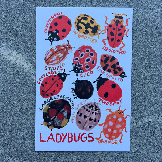 mini Poster : Ladybugs