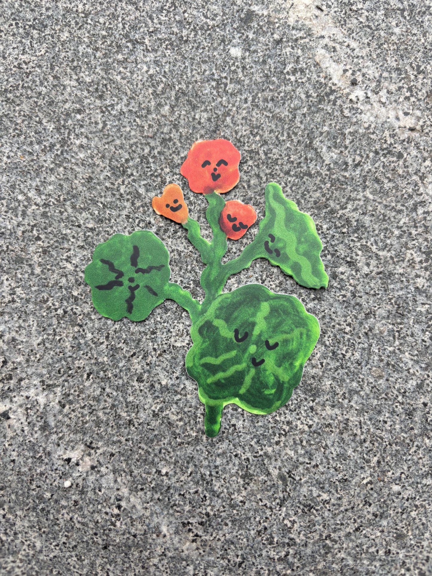 Flower Sticker :Nasturtium