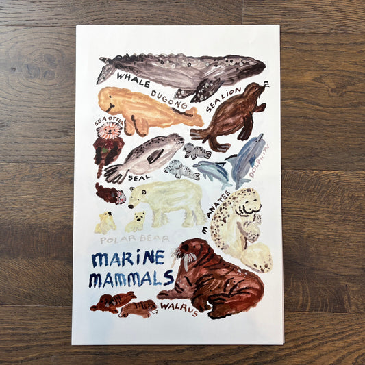 Big Poster : Marine mammals