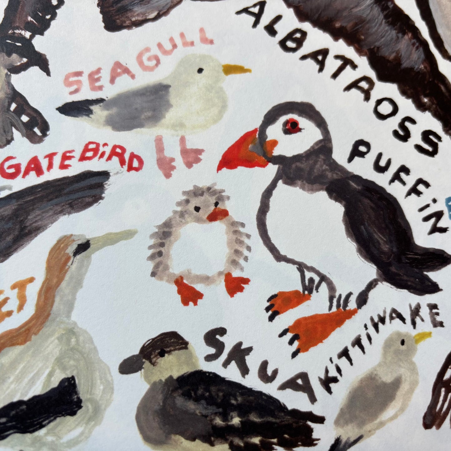 Big Poster : Seabirds
