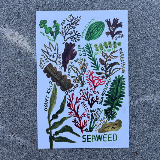 mini Poster : Seaweed