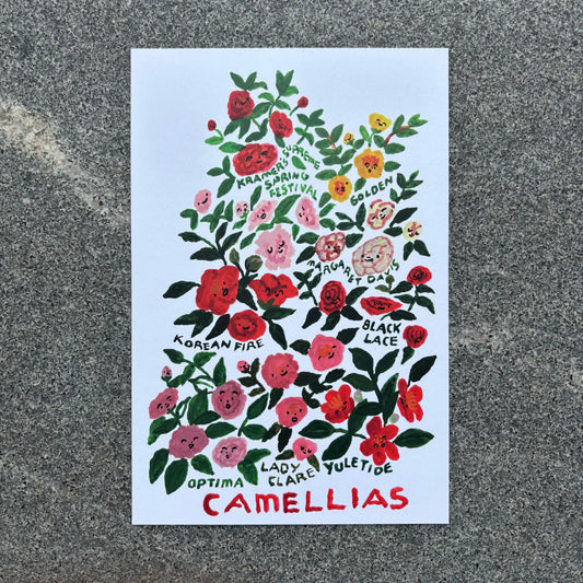 mini Poster : Camellias