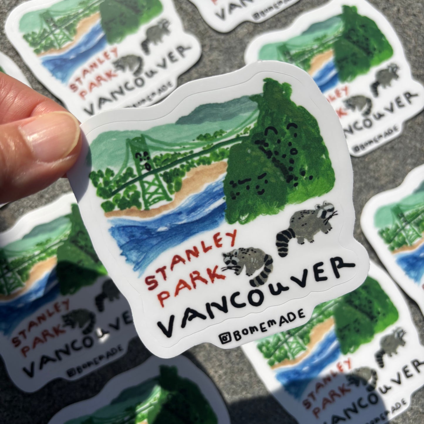 Sticker : Stanley Park Raccoon
