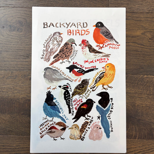 Big Poster : Backyard Birds