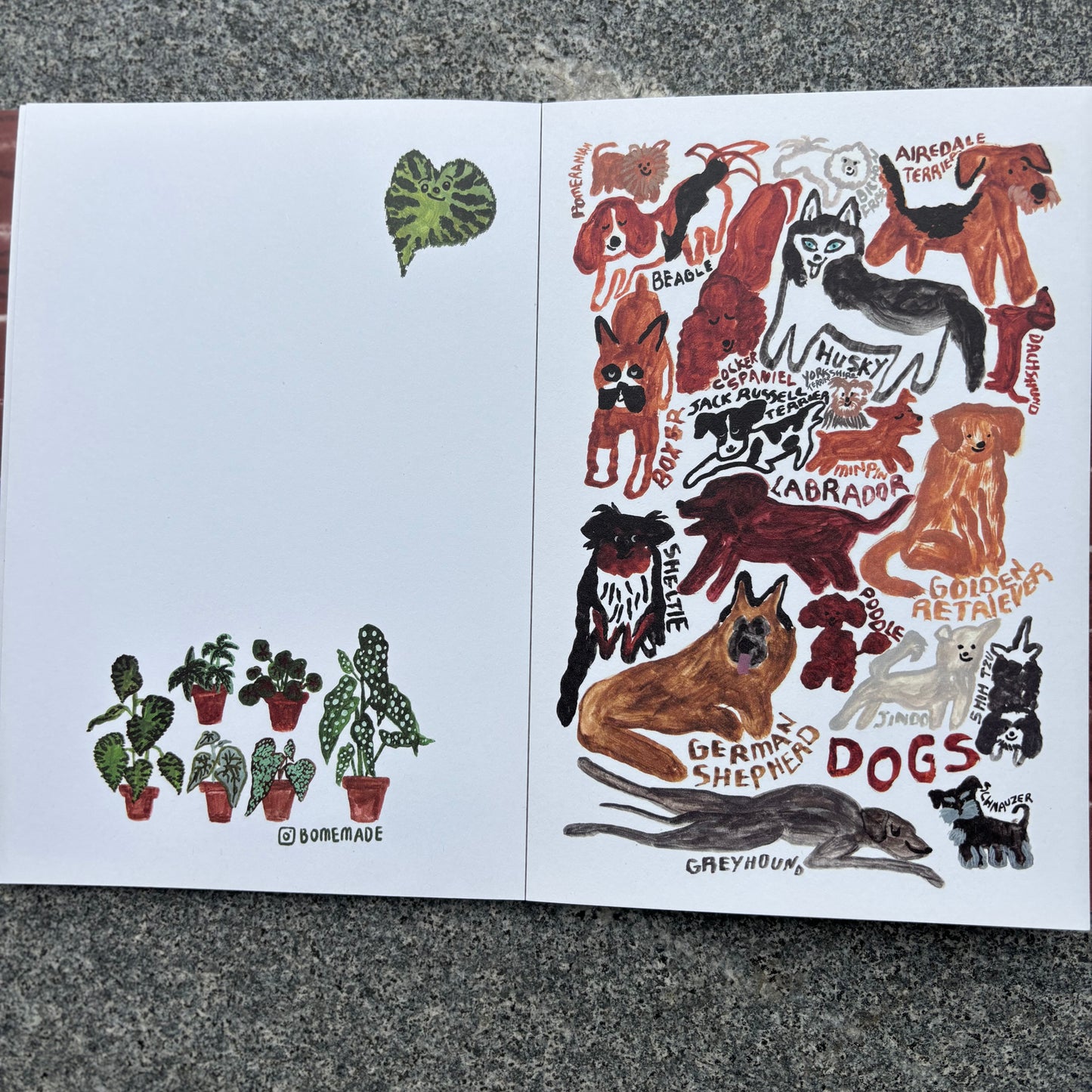 24 postcards Book - Everyday Collection