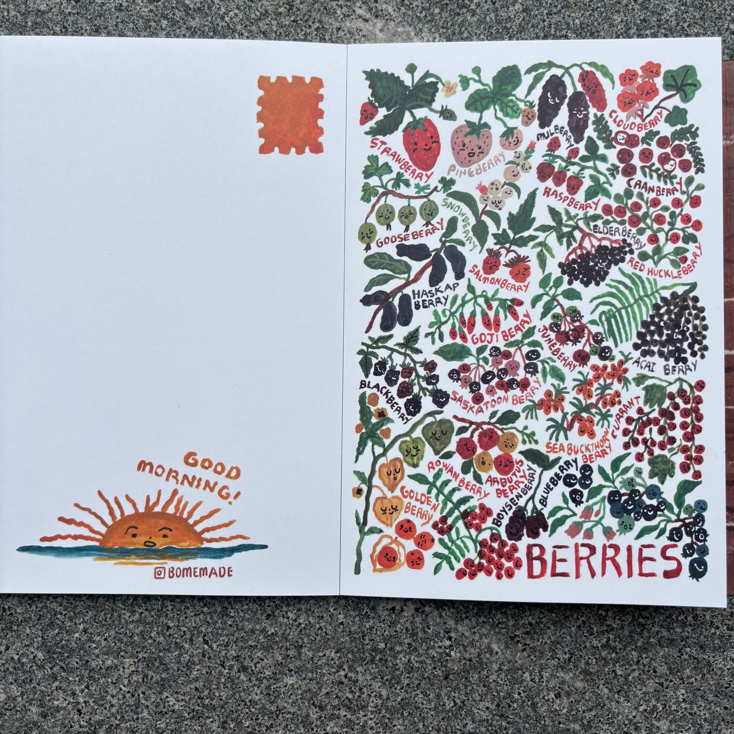 24 postcards Book - Garden Collection