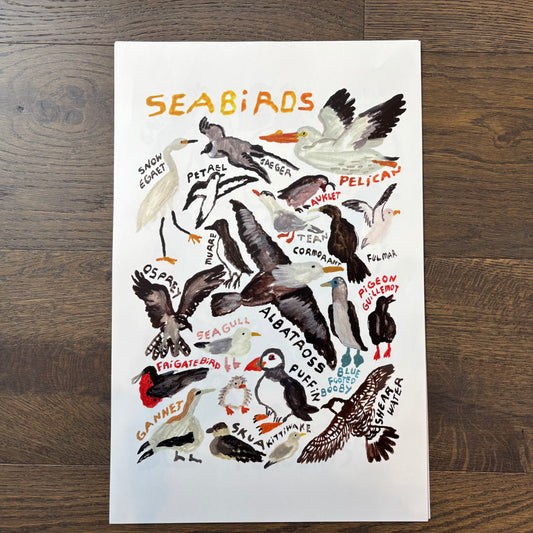 Big Poster : Seabirds