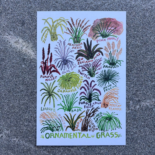 mini Poster : Grass