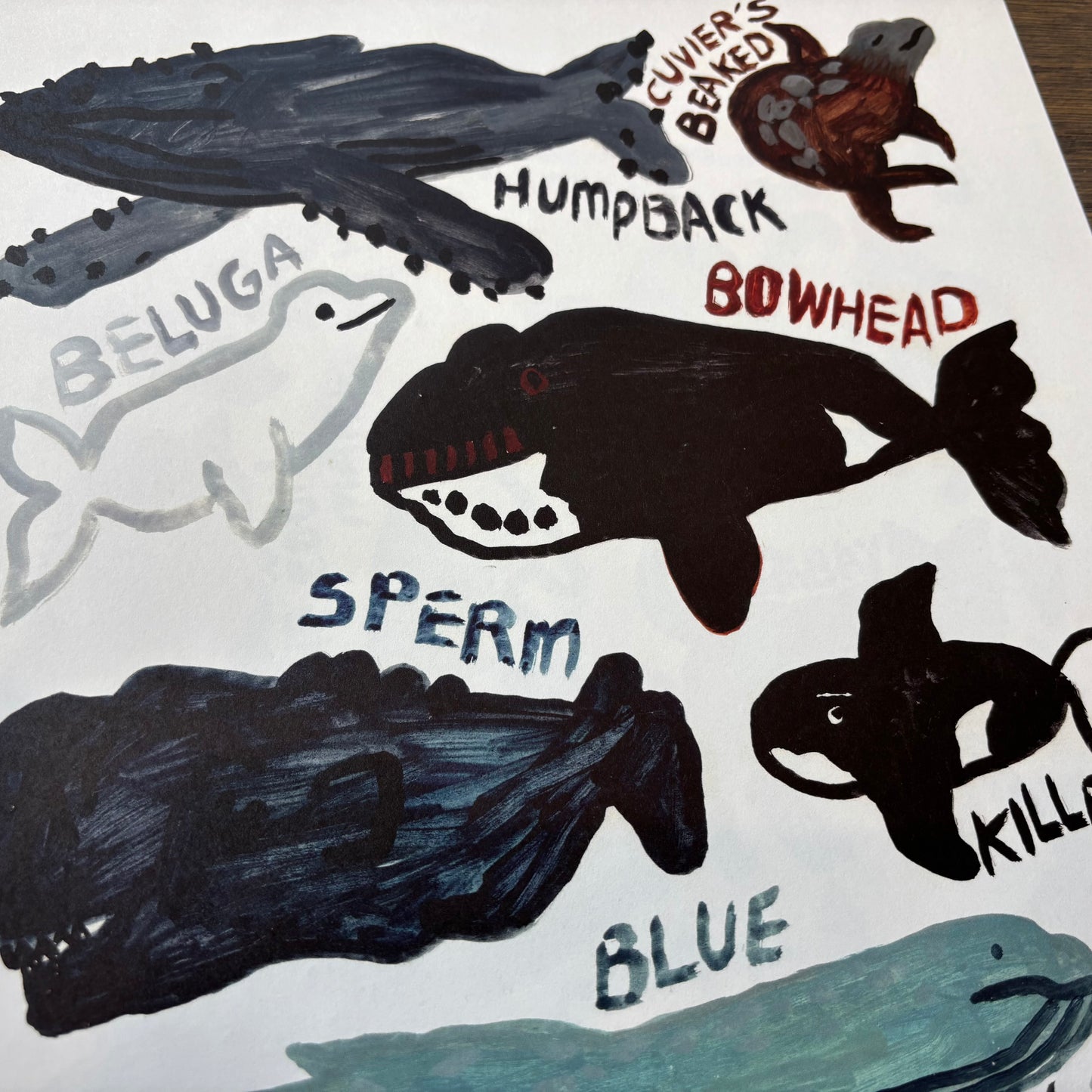 Big Poster : Whales