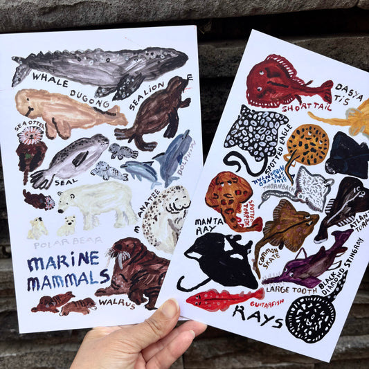mini Poster : Marine Mammals