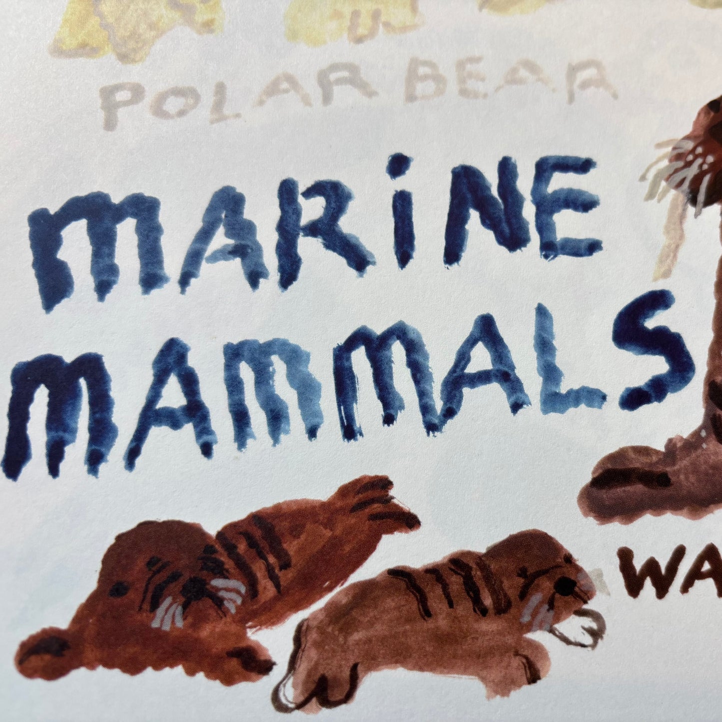 Big Poster : Marine mammals