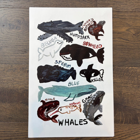 Big Poster : Whales