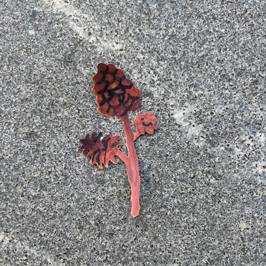 Flower Sticker : Pine cone
